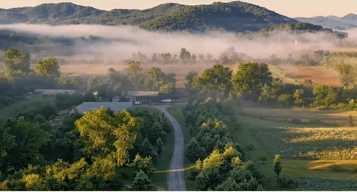 Pure Plants, Cultivated for You